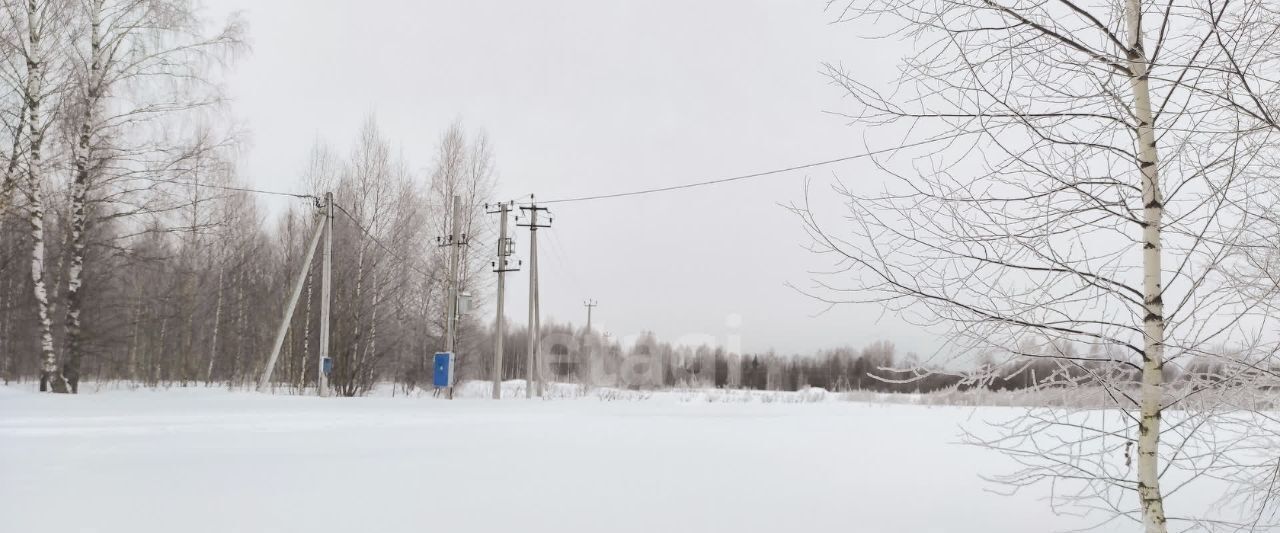 земля р-н Некрасовский д Горки с пос, Некрасовское фото 12