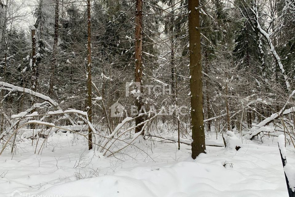 земля городской округ Дмитровский фото 4