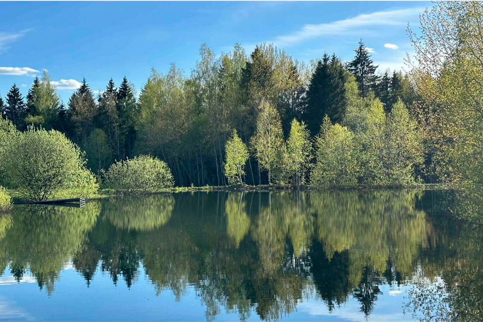 земля городской округ Сергиево-Посадский Яркое фото 3