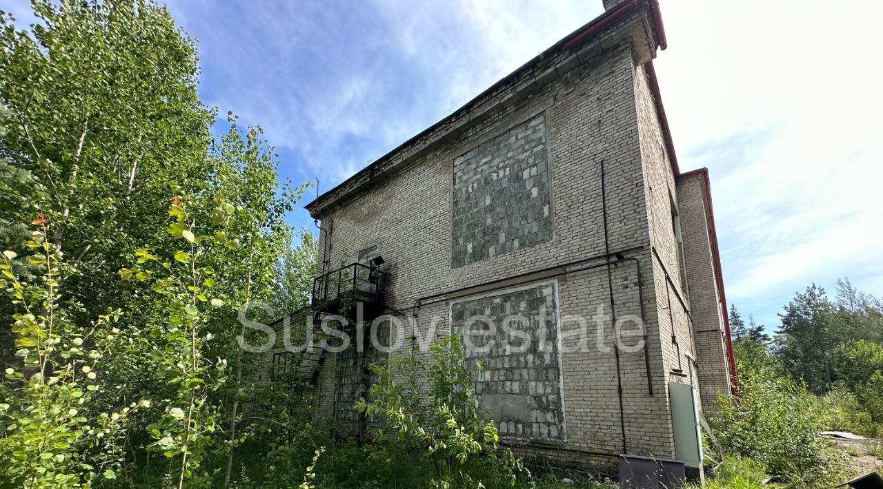 производственные, складские р-н Всеволожский Имени Морозова городской поселок, ул. Чекалова, 3 фото 3