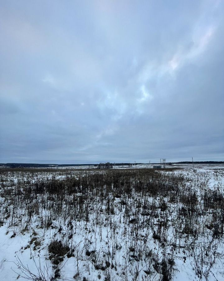 земля городской округ Коломенский д Подмалинки 68 км, Мещерино, г. о. Коломна, Новорязанское шоссе фото 14