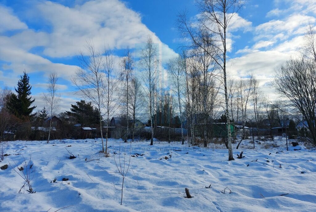 земля городской округ Чехов д Алачково снт Алачково фото 5