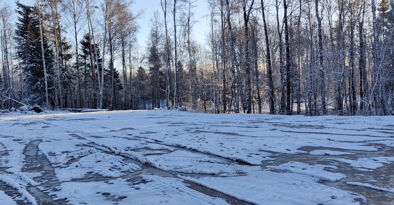 земля р-н Всеволожский 22 км, Всеволожский р-н, Токсовское городское поселение, СНТ Воякоярви, 4-я линия, Лесколово, Ленинградское шоссе фото 1