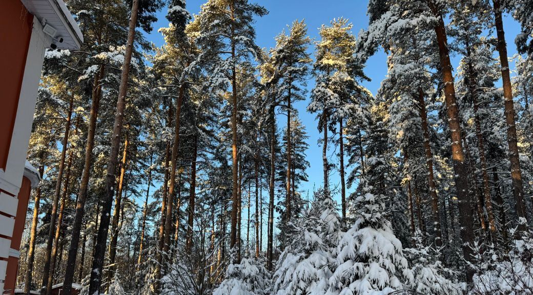 дом р-н Всеволожский г Сертолово снт Ромашка Проспект Просвещения, 719 фото 36