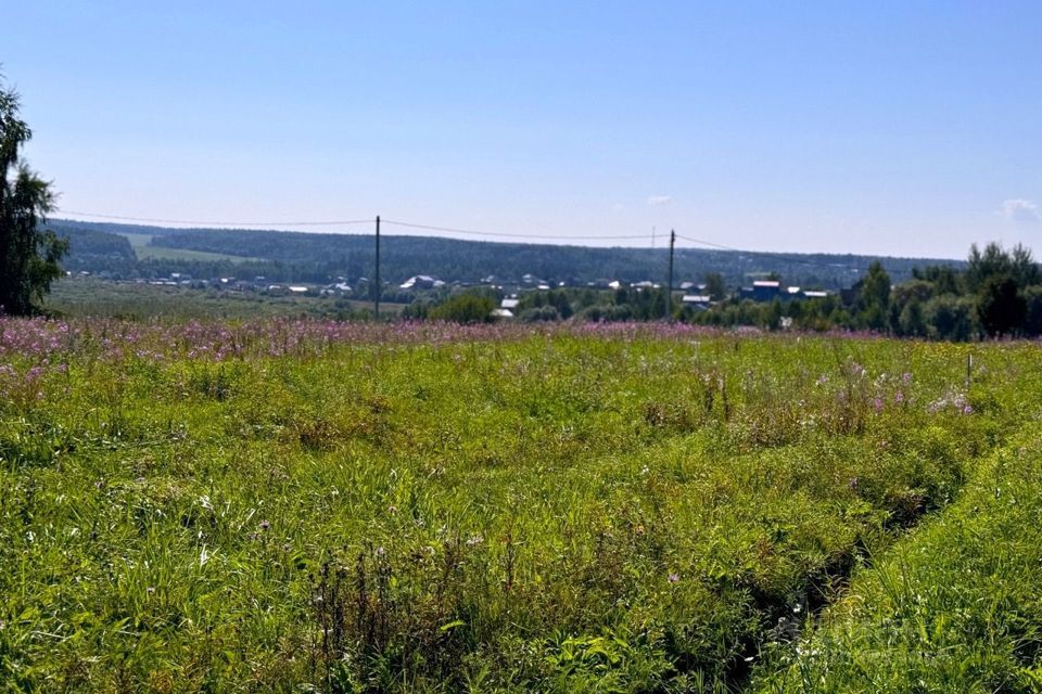 земля городской округ Дмитровский д. Сбоево фото 4