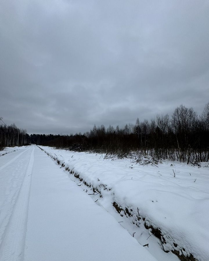 земля городской округ Коломенский д Паньшино 81 км, г. о. Коломна, Пески, Новорязанское шоссе фото 2