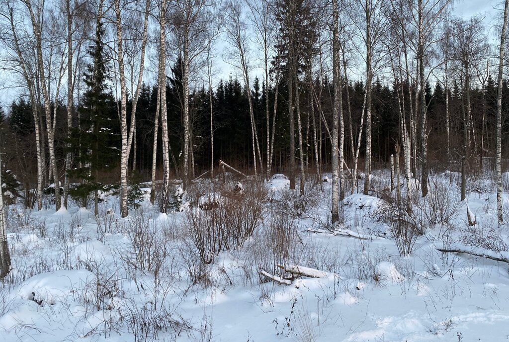 дом городской округ Дмитровский территория объединения Ново-Карцево, Малиновая улица фото 18