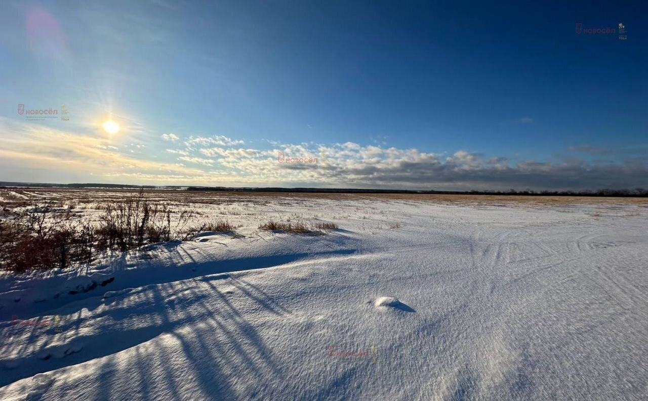 земля г Заречный д Курманка Белоярский фото 3