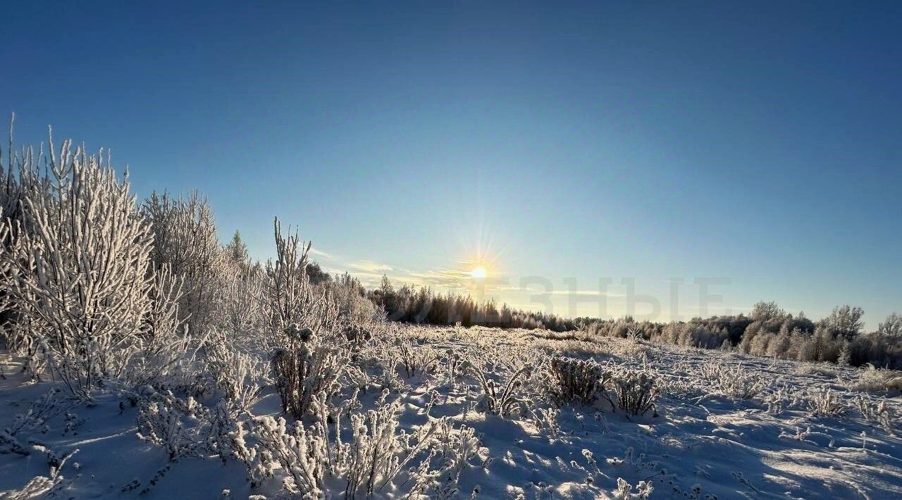 земля р-н Новгородский д Васильевское Ракомское с/пос, 12 фото 15