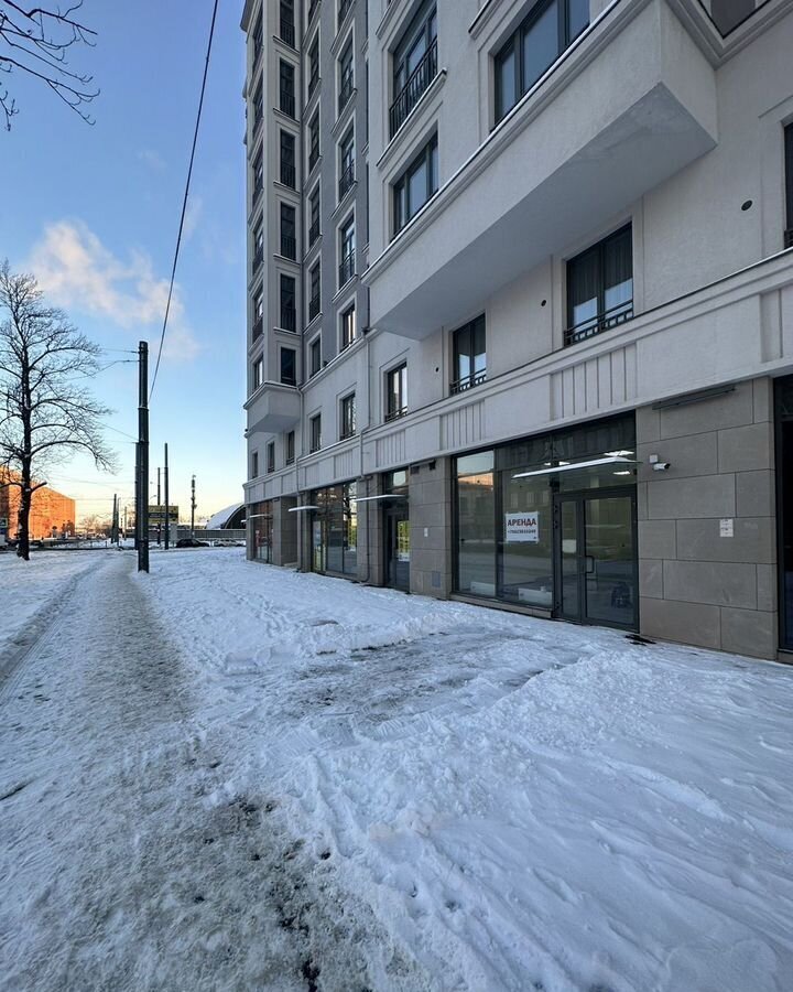 свободного назначения г Санкт-Петербург метро Электросила р-н Московская Застава ул Благодатная 50 фото 3