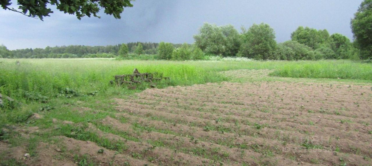 земля городской округ Рузский п Колюбакино ул Заводская Тучково фото 3