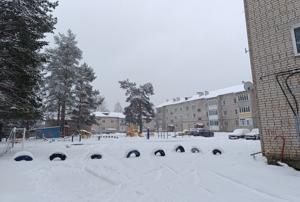 квартира посёлок городского типа Ветлужский, Пионерская улица, 33 фото 6