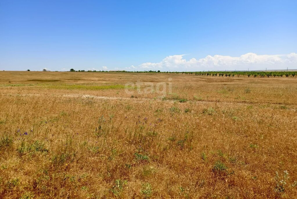 земля р-н Черноморский с Межводное фото 1