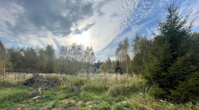 земля метро Подольск Европейская долина-2 ДНП, пер. 3-й Двинский, 16 фото