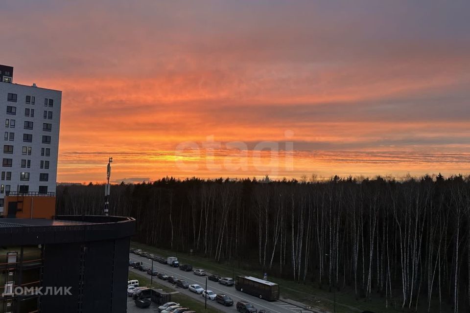 квартира г Москва Новомосковский административный округ, Саларьевская улица, 10 к 2 фото 9