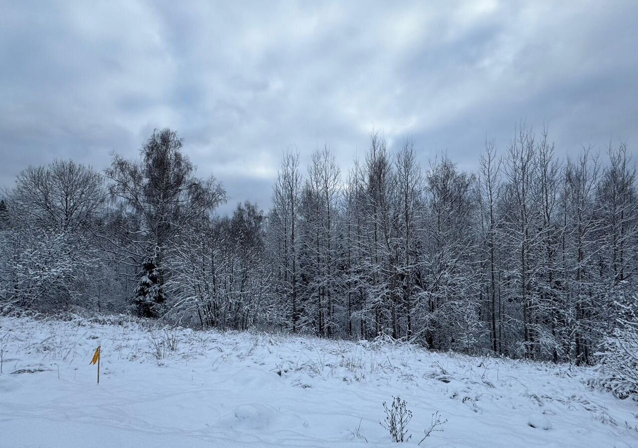 земля городской округ Дмитровский д Сурмино 34 км, Деденево, Дмитровское шоссе фото 2