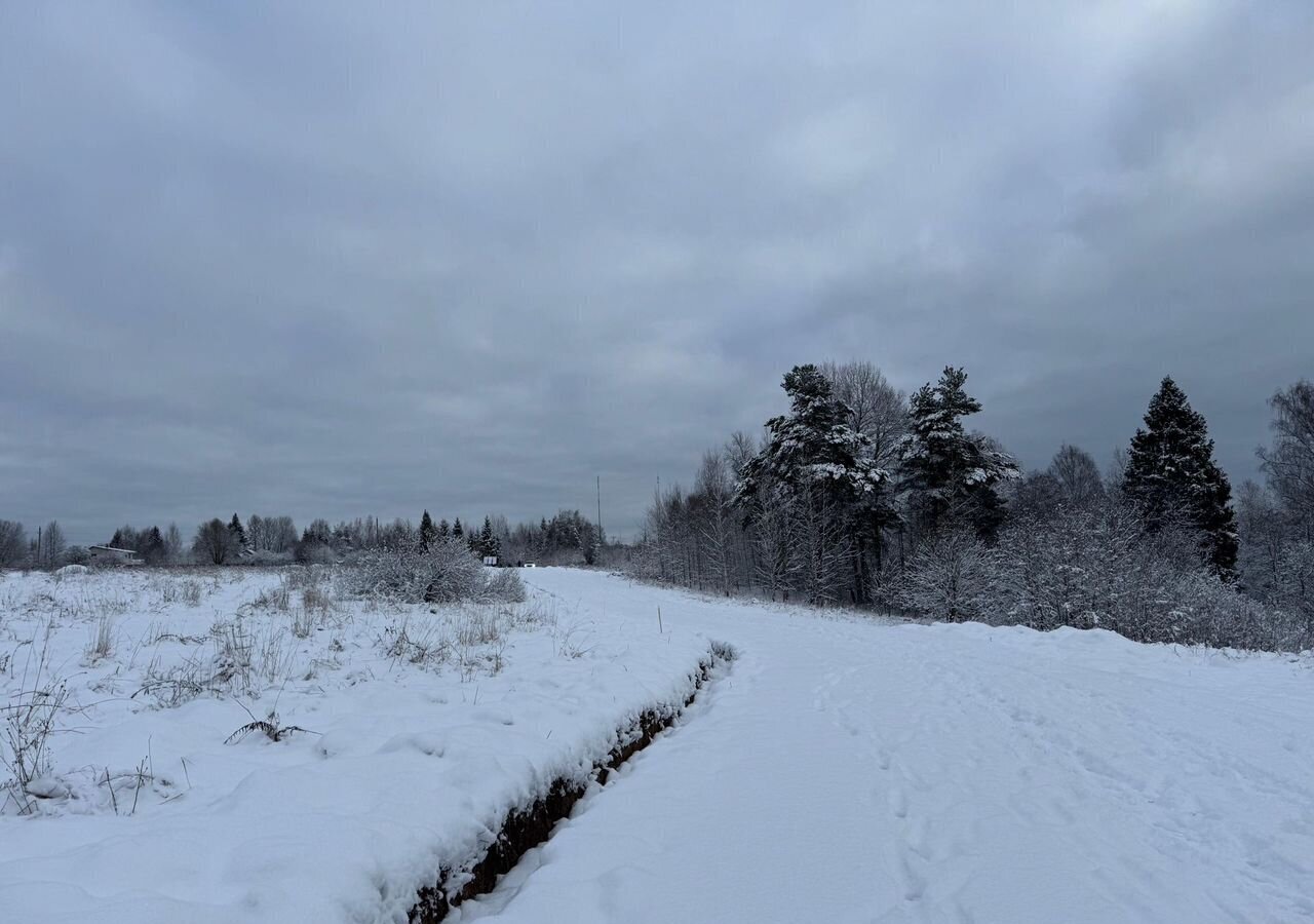 земля городской округ Дмитровский д Сурмино 34 км, Деденево, Дмитровское шоссе фото 6