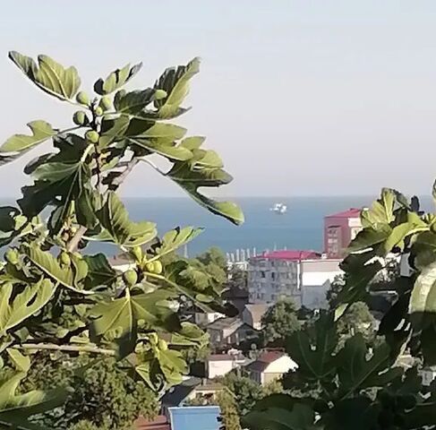 ул Р.Люксембург 49 фото