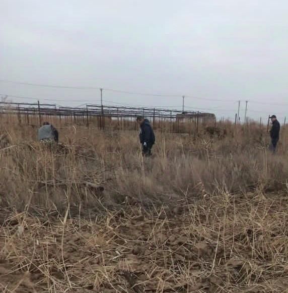 земля г Волжский ул Автомобилистов фото 1