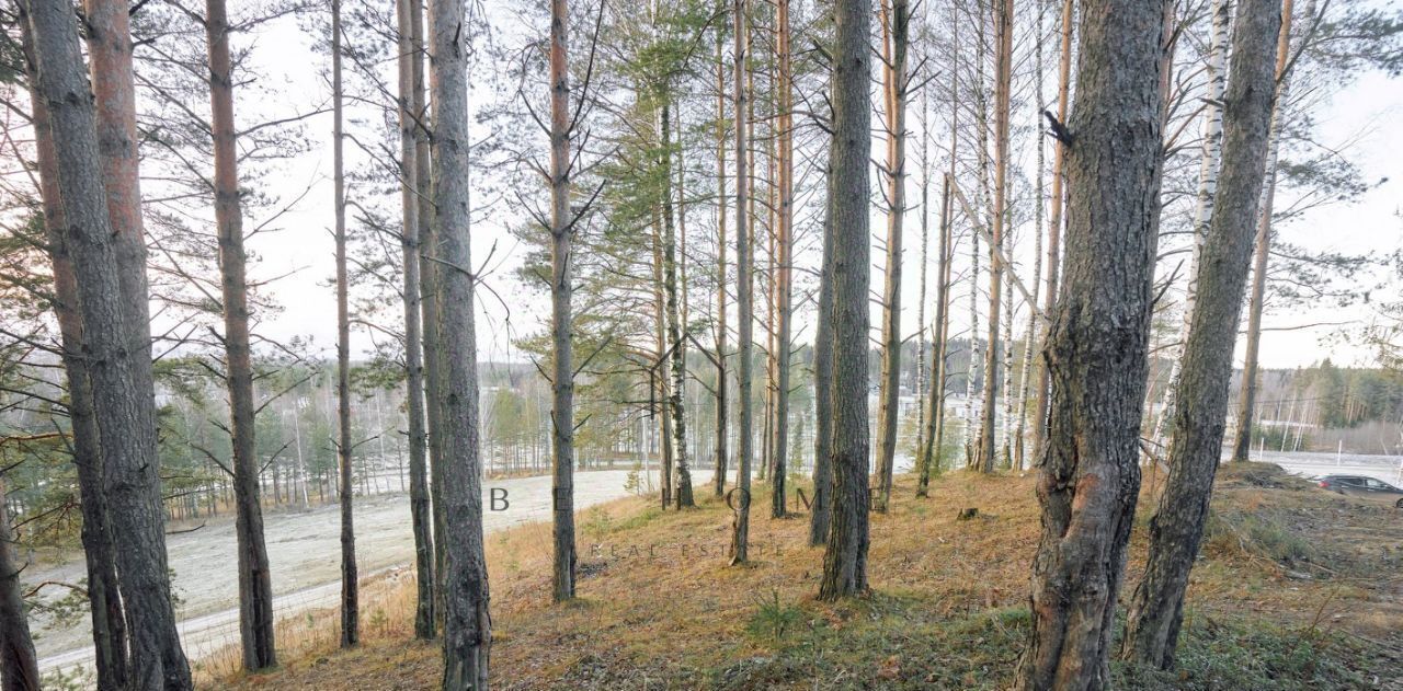 земля р-н Всеволожский д Мистолово Бугровское городское поселение, Парнас фото 3