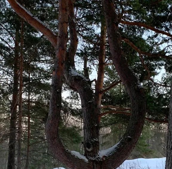 дом р-н Прионежский д Суйсарь Заозерское с/пос, Север жилмассив, 8 фото 31