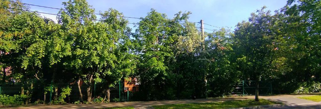 дом р-н Зеленоградский г Зеленоградск ул Ленина 19 фото 1