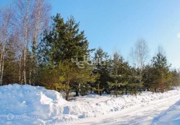 земля р-н Вознесенский с Княжево Бор городской округ, Сооружение фото 2