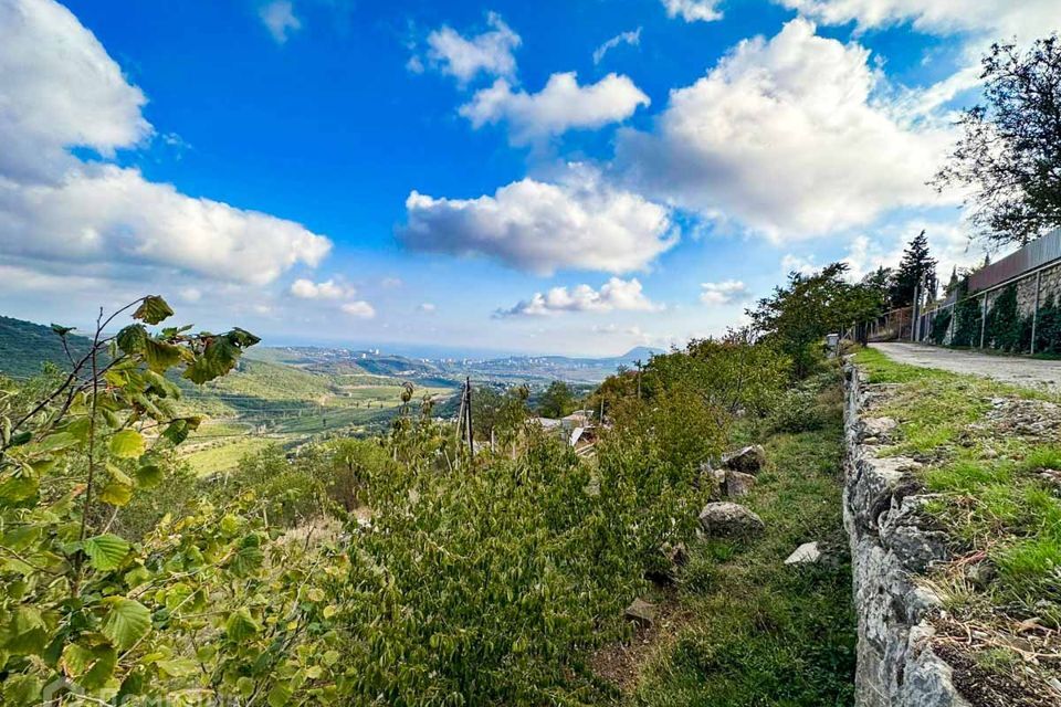 земля г Алушта с Верхняя Кутузовка ул Школьная Алушта городской округ фото 5