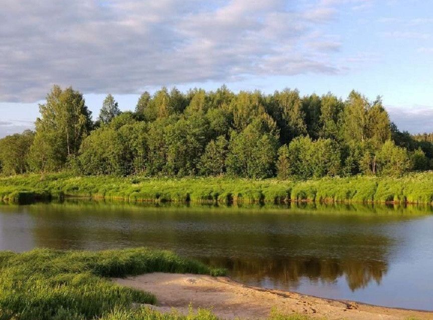 земля р-н Кашинский Верхняя Троица фото 8