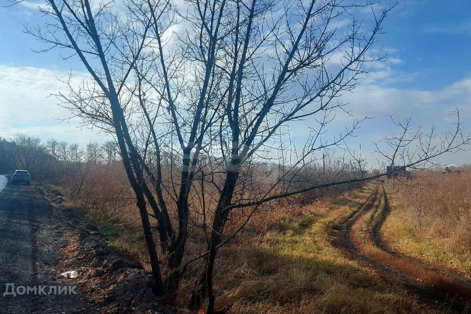 земля г Курган Курган городской округ, Весенняя, 22а фото 10