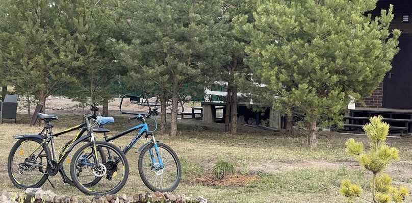 дом р-н Приозерский п Ларионово ул Елизаветы Глинки Ларионовское с/пос, Снетково кп фото 18