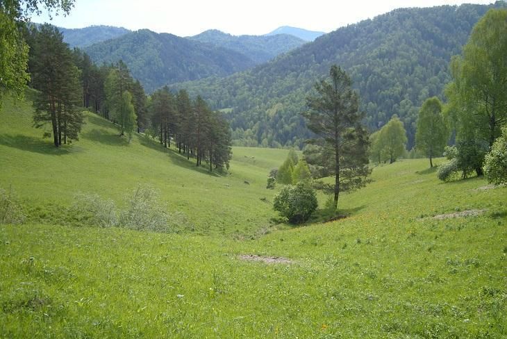 земля р-н Пригородный с Гизель Республика Северная Осетия — Пригородный р-н фото 1