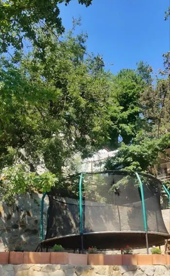 комната г Ялта пгт Гаспра ш. Алупкинское, 100 фото 26