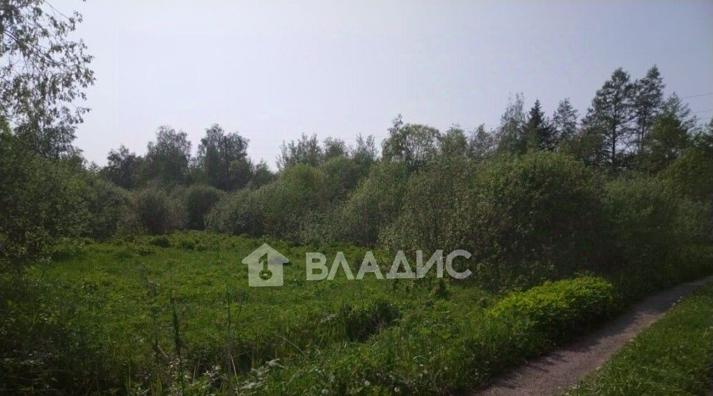 земля г Владимир р-н Ленинский Нива СНТ фото 1