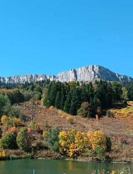 дом р-н Майкопский п Каменномостский ул Дальняя 20 фото 40