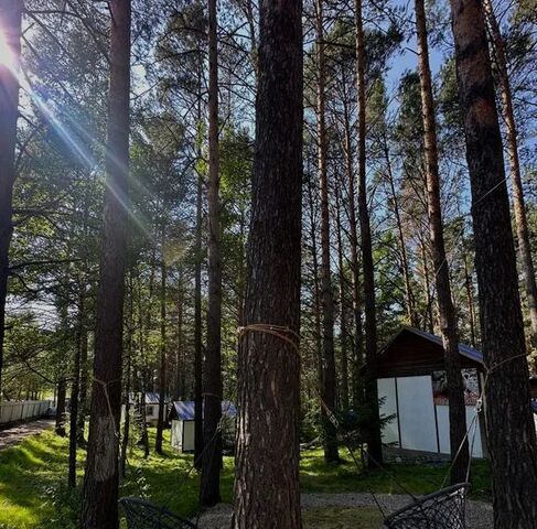 п Усть-Мана ул Комсомольская 163д фото
