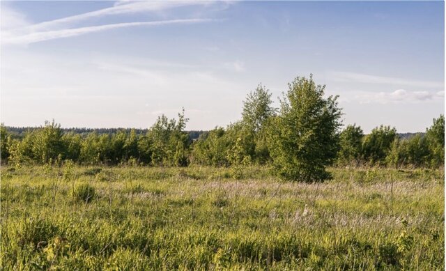 Павловская Слобода, 23 км, Волоколамское шоссе фото