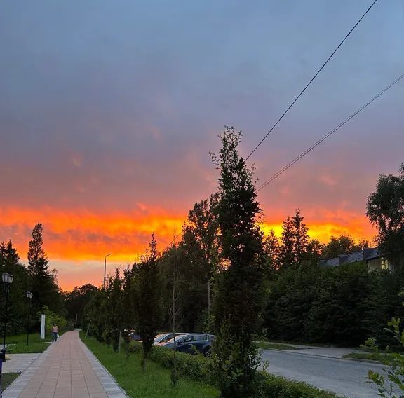 дом р-н Светлогорский г Светлогорск пр-кт Калининградский 66а фото 17