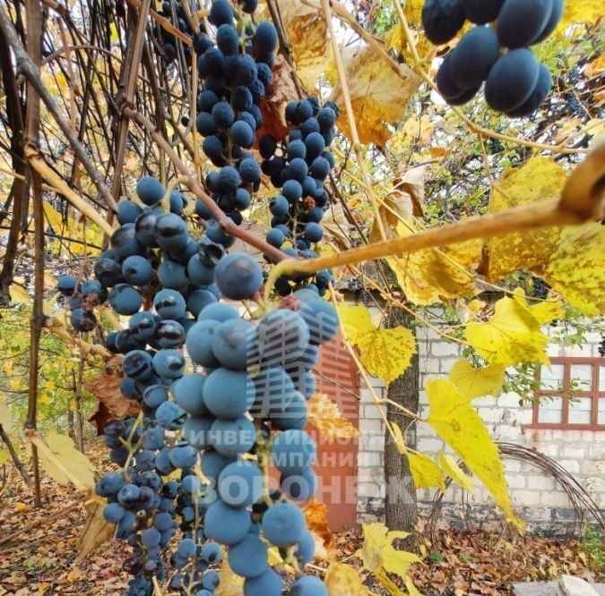 дом г Воронеж р-н Советский снт Дон ул Керамическая 17 фото 15