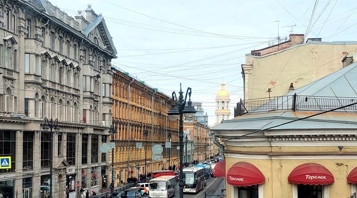 комната г Санкт-Петербург метро Владимирская ул Разъезжая 1 фото 4