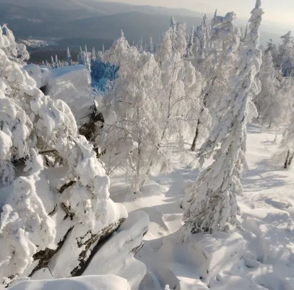 дом р-н Белорецкий д Шушпа ул Центральная 3 Нурский сельсовет фото 9