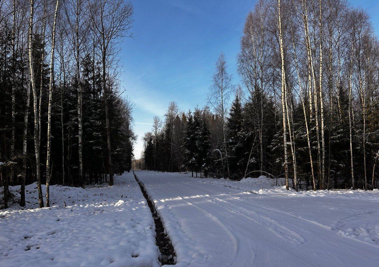 земля городской округ Дмитровский рп Икша 33 км, коттеджный пос. Медведки, 669, Рогачёвское шоссе фото 4