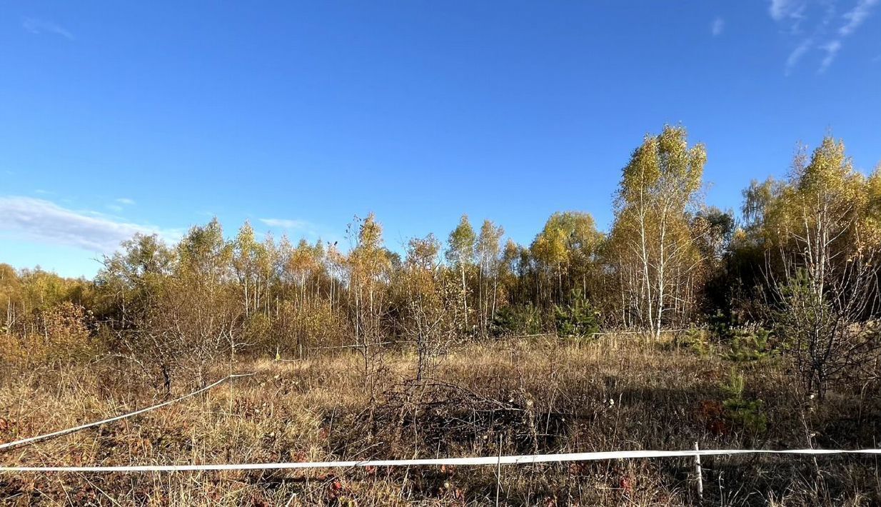 земля городской округ Кашира д Тарасково ул. Лебединая фото 2