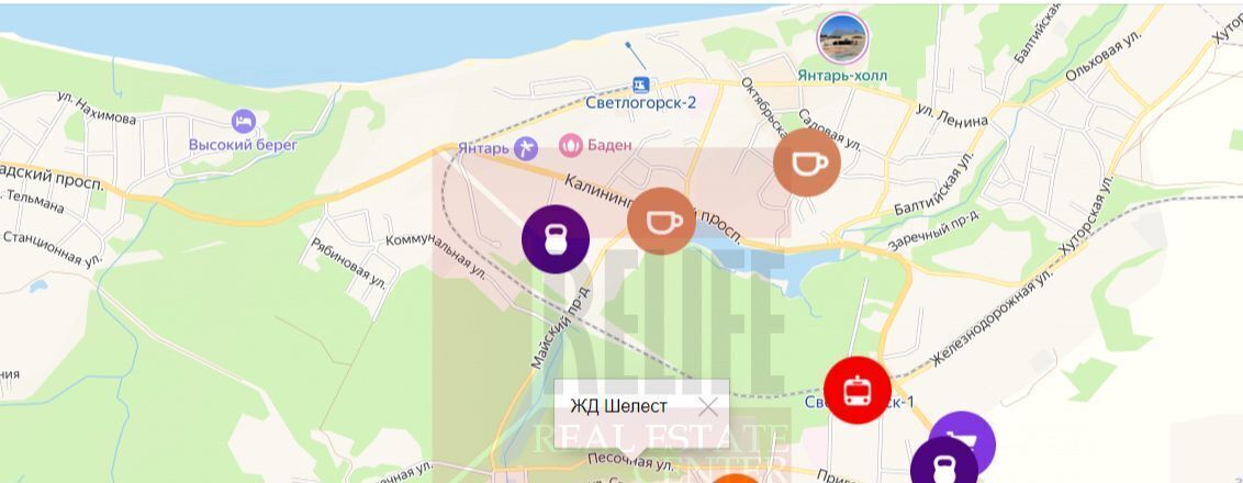 квартира р-н Светлогорский г Светлогорск фото 15