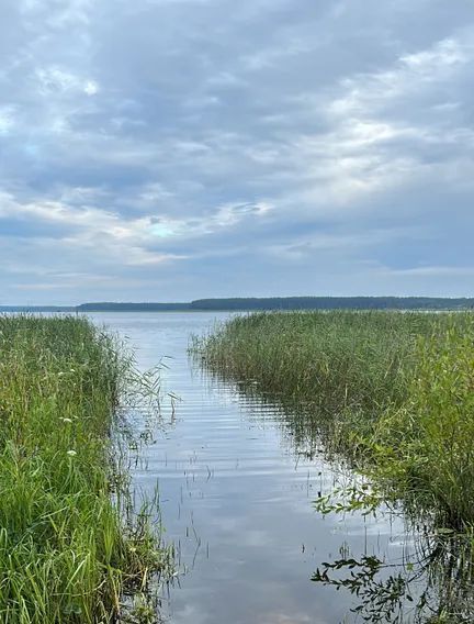 дом р-н Осташковский г Осташков д Зальцо 14 фото 11