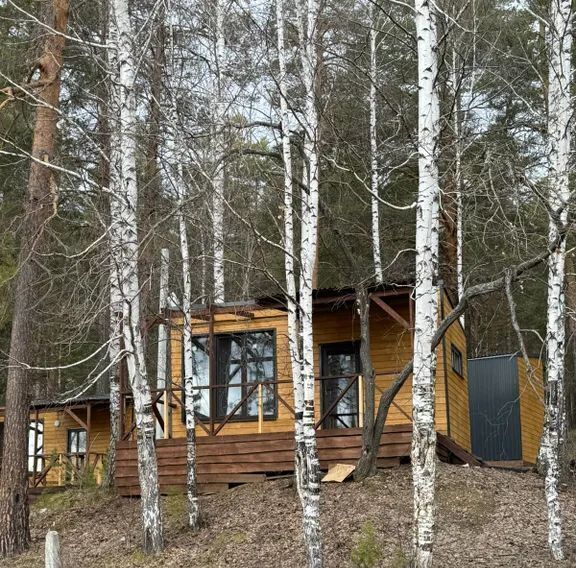 дом г Дегтярск ул Шуры Екимовой 110а фото 5