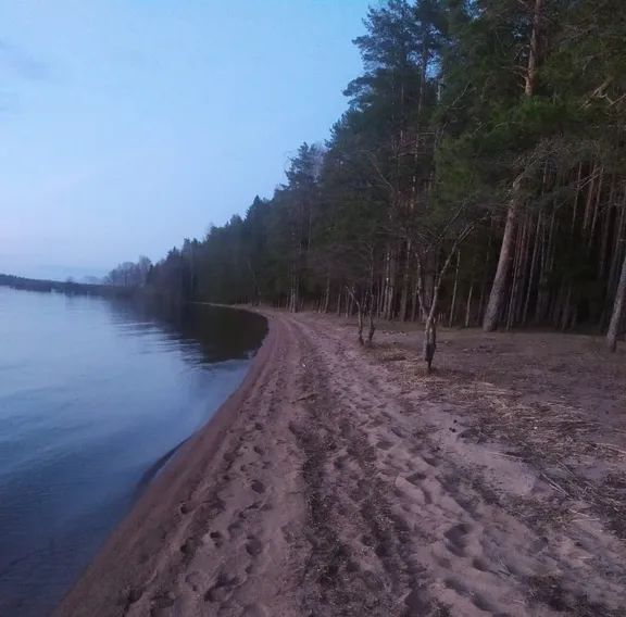 дом р-н Осташковский г Осташков д Могилево 25 Гс 13 фото 23