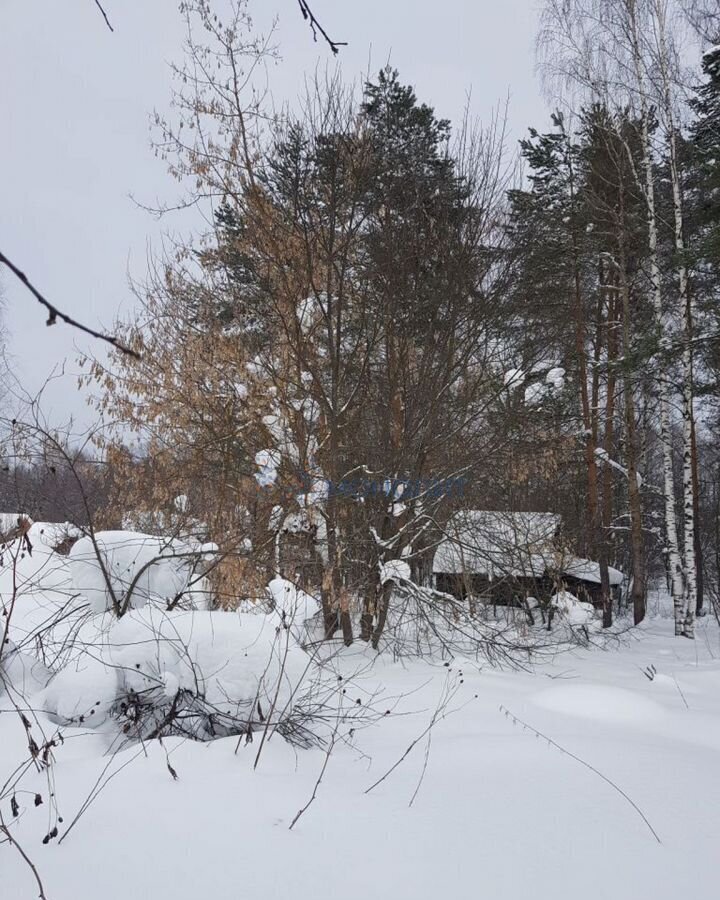 дом г Бор п Память Парижской Коммуны (ППК с/с) д. Завражное Ямновский сельсовет фото 16