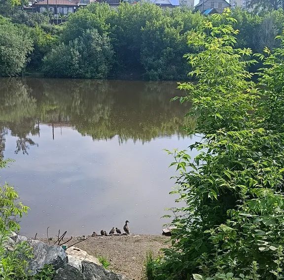 дом р-н Белорецкий г Белорецк ул Нахимова 17 фото 23