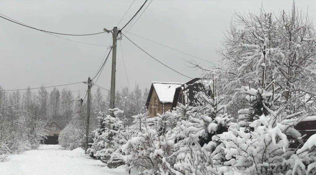 дом р-н Всеволожский д Рыжики Колтушское городское поселение, Соржа-Рыжики массив, ул. Весенняя, 5 фото 4